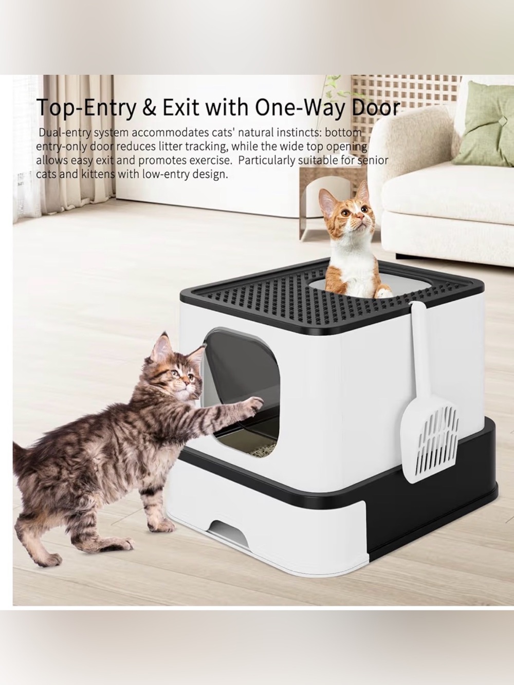 Modern Top-Entry Cat Litter Box
